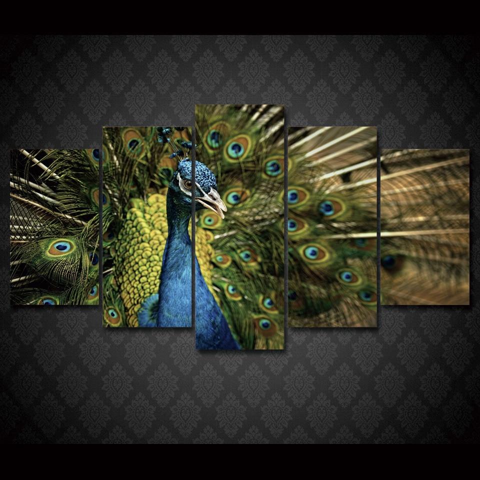 Peacock 6 – Animal Canvas Wall Art