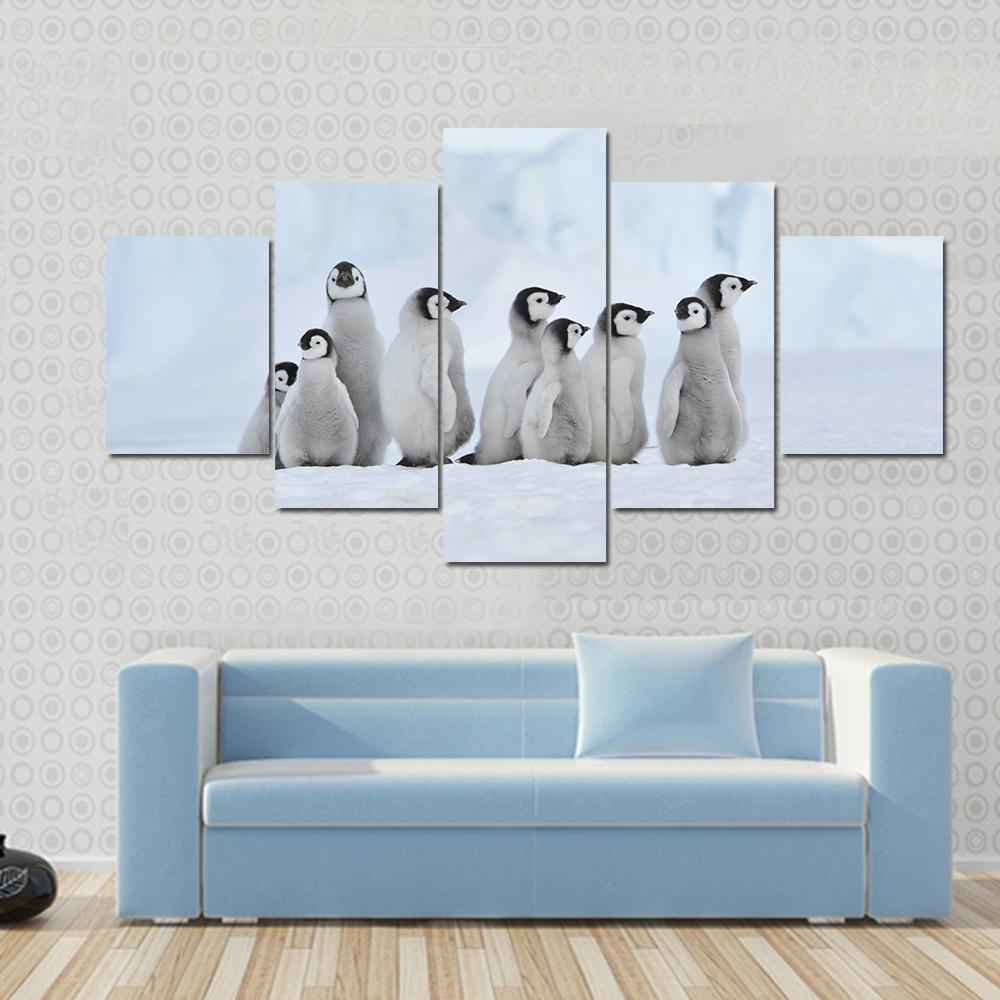 Penguin Chicks On Snow Hill On The Icebreaker Kapitan Khlebnikov – Animal Canvas Wall Art
