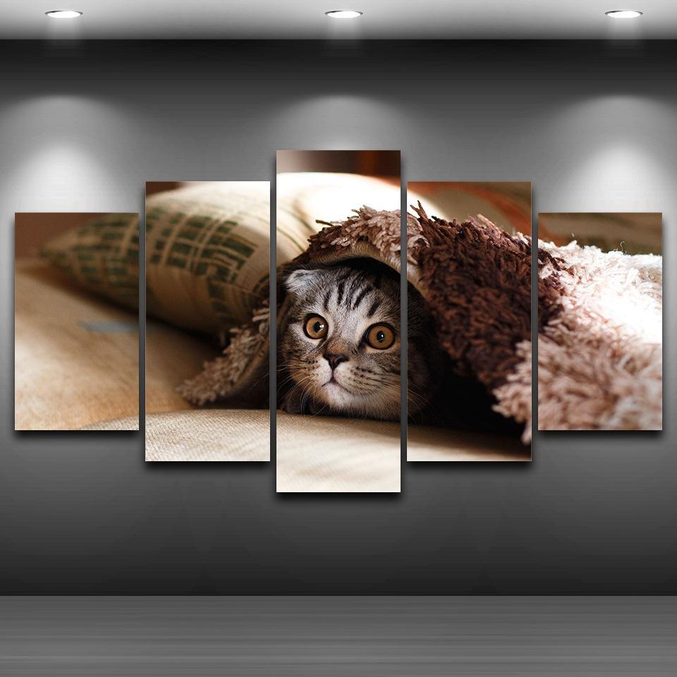 Pet Cat Face Animal Kitten – Animal Canvas Wall Art