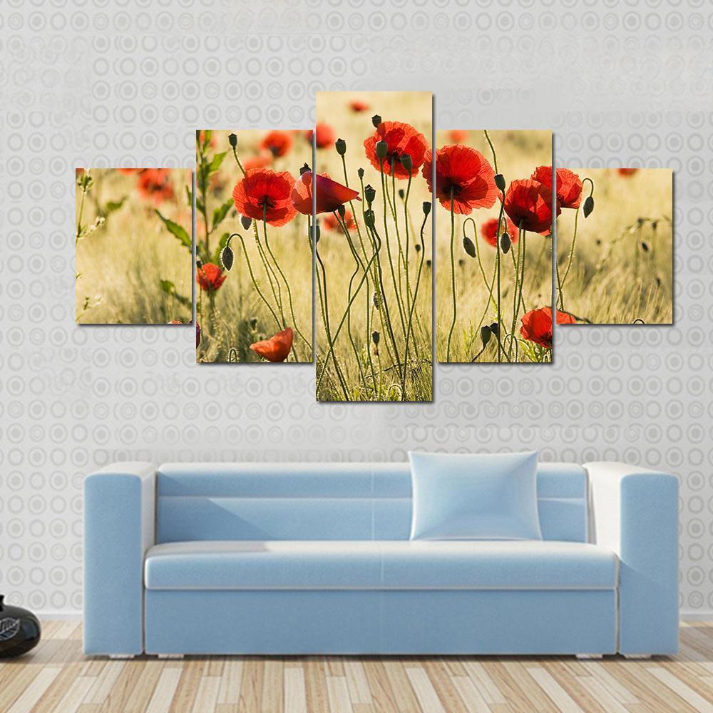 Poppy Flower Field – Nature Canvas Wall Art