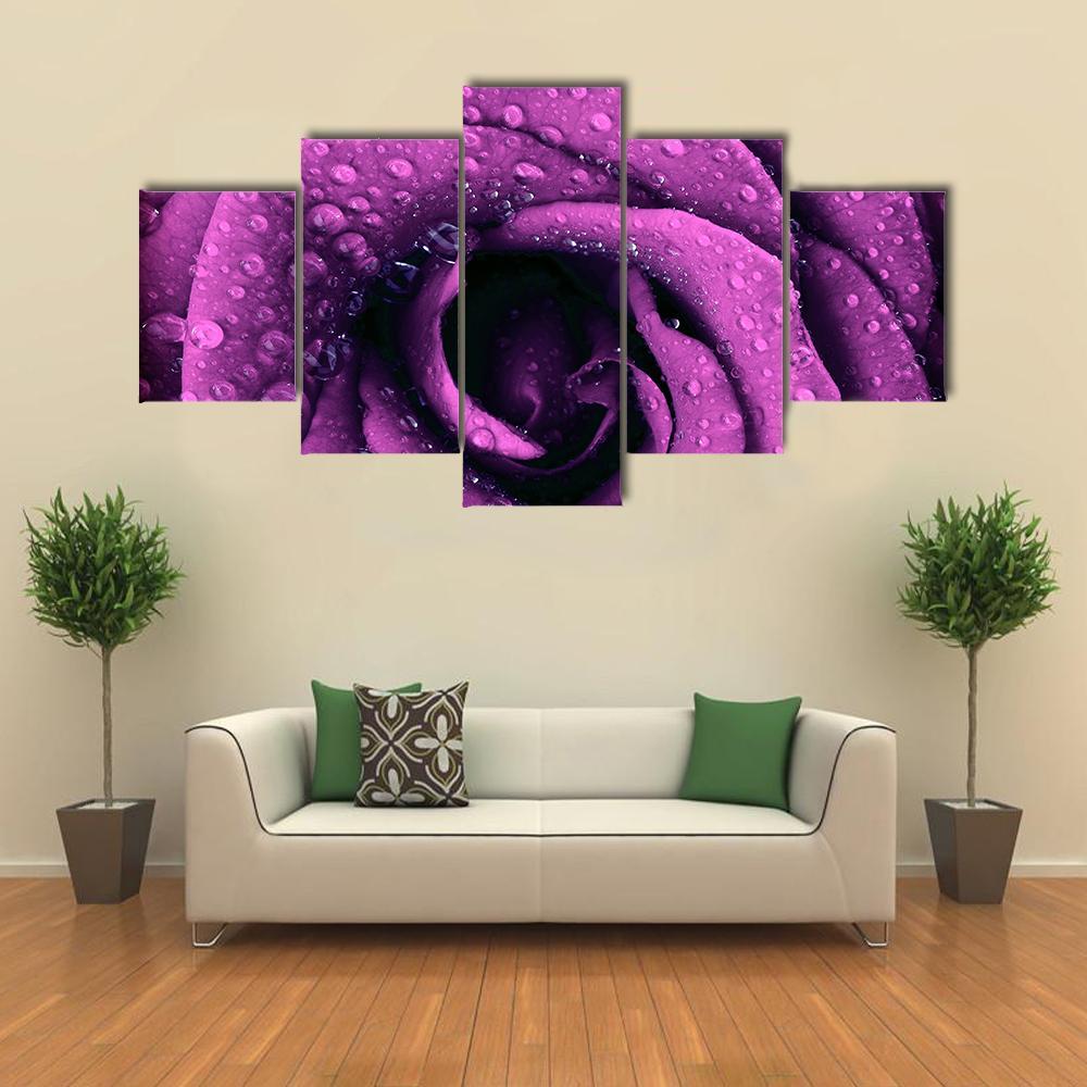 Purple Rose With Dew Drops – Nature Canvas Wall Art