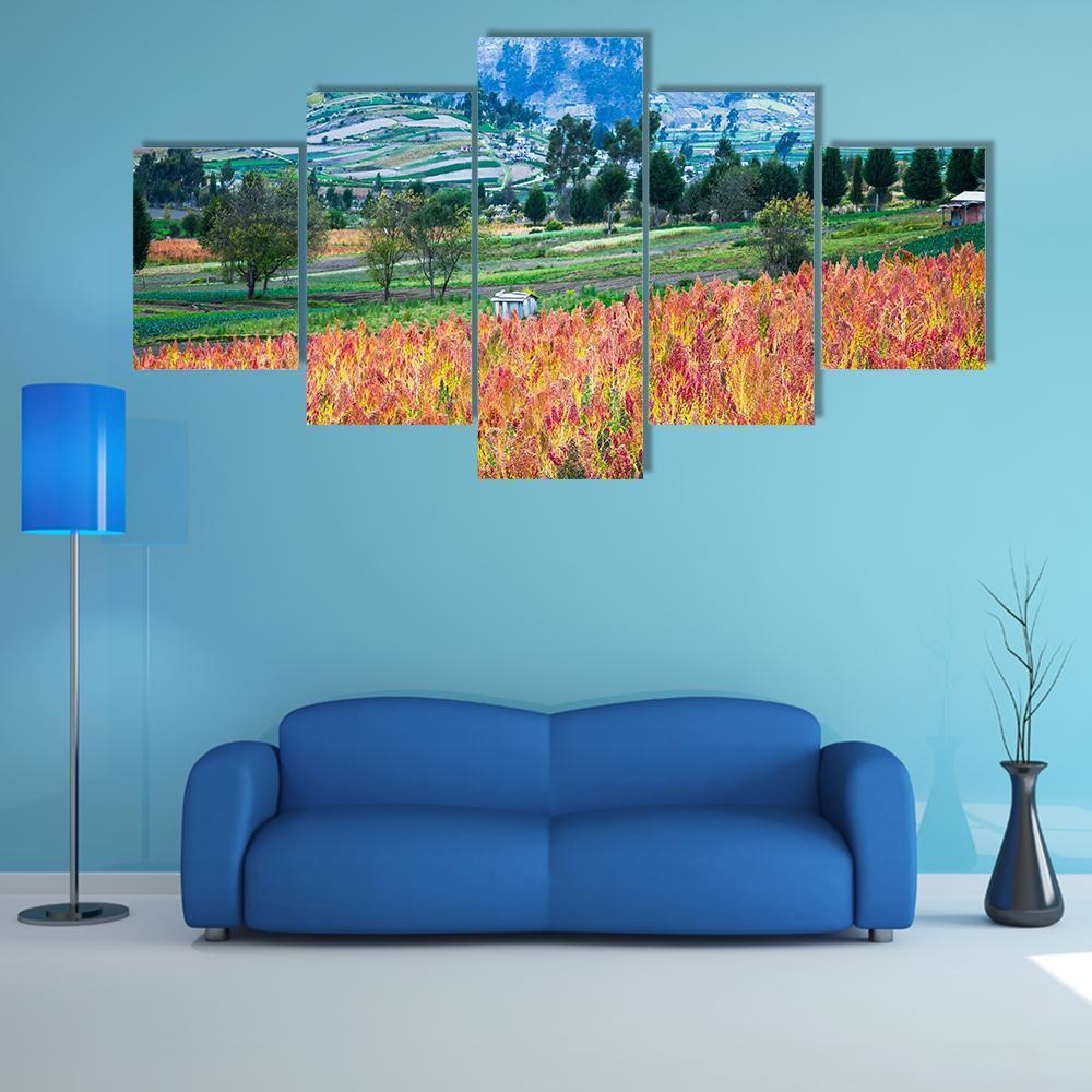 Quinoa Cultivated Fields – Nature Canvas Wall Art