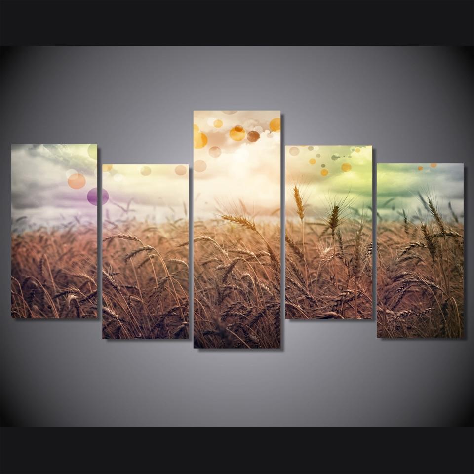 Rainbow Country – Nature Canvas Wall Art