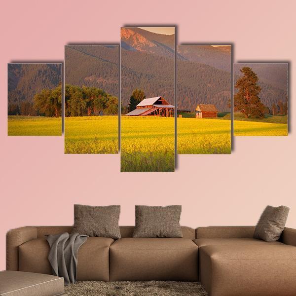 Rapeseed Farm And Barn In Evening Sun Light – Nature Canvas Wall Art