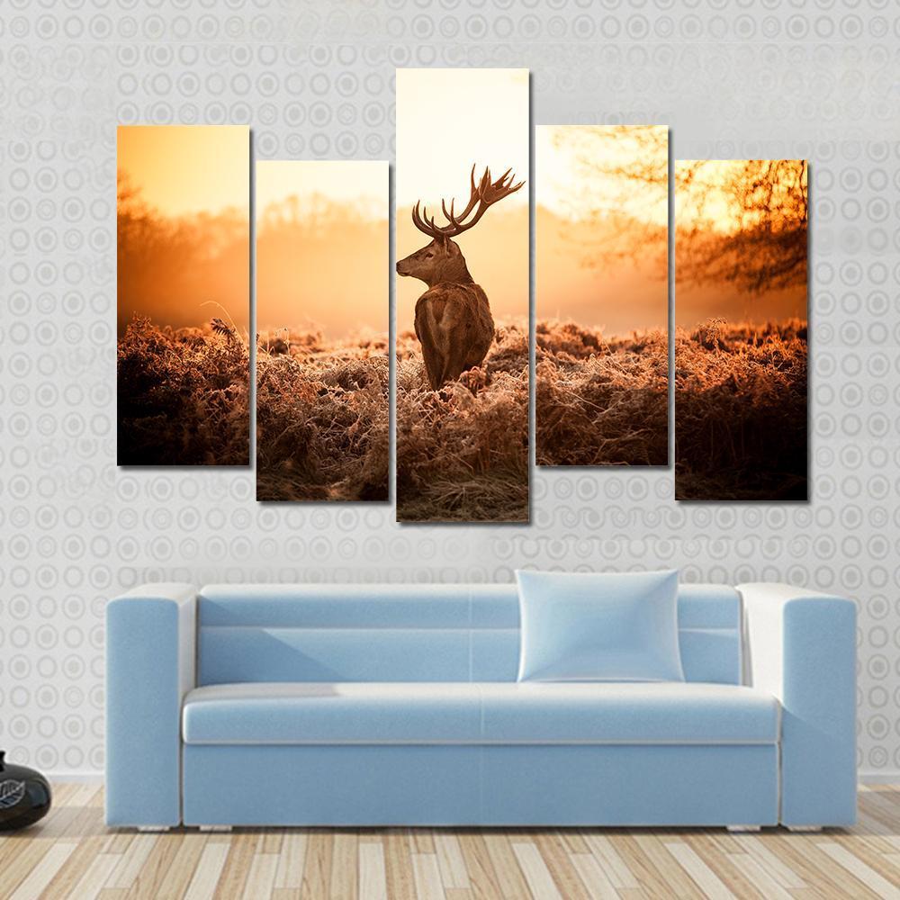 Red Deer Looking Around In Morning Sun – Animal Canvas Wall Art