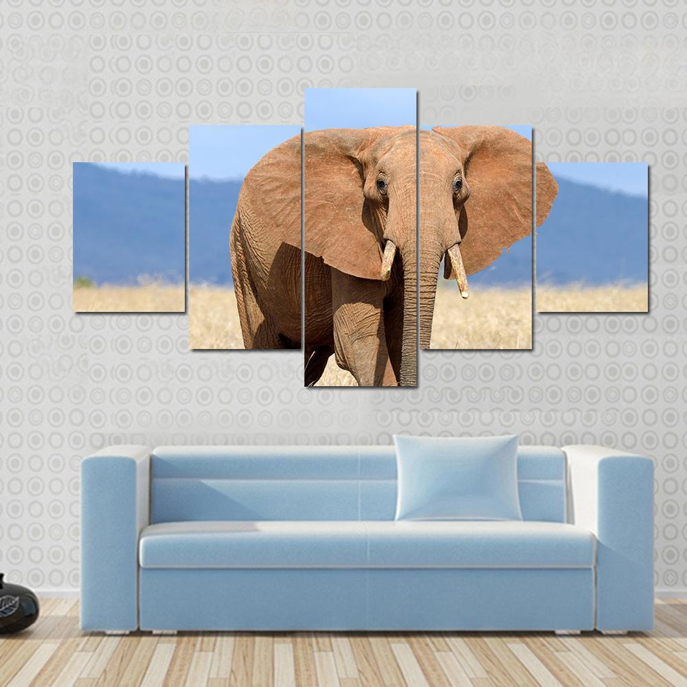 Red Elephant In Africa – Animal Canvas Wall Art
