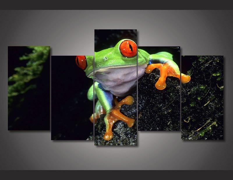 Red Eyed Tree Frog 01 – Animal Canvas Wall Art
