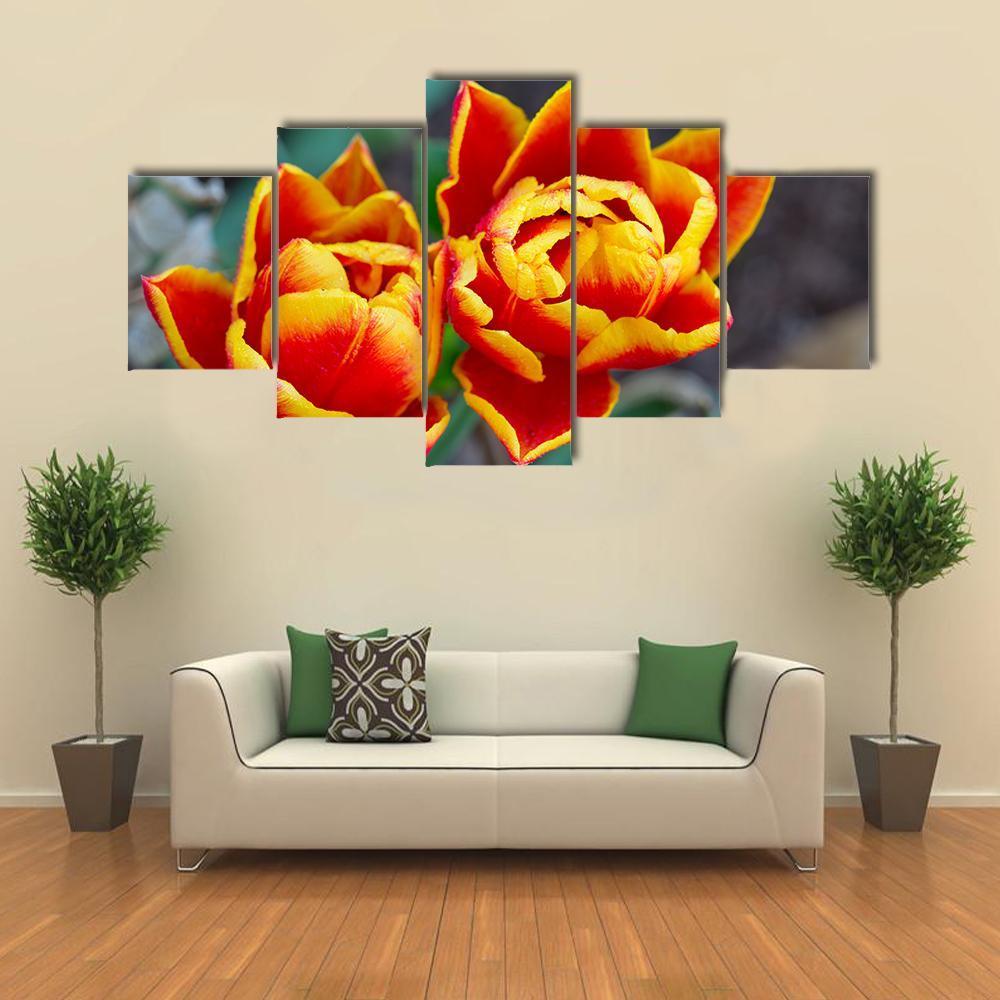 Red Tulips Close-Up – Nature Canvas Wall Art