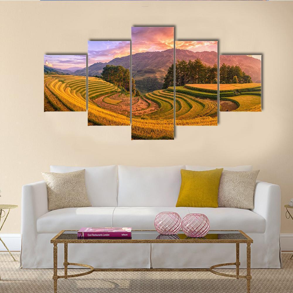 Rice Fields On Terraced With Pine Tree At Sunset – Nature Canvas Wall Art