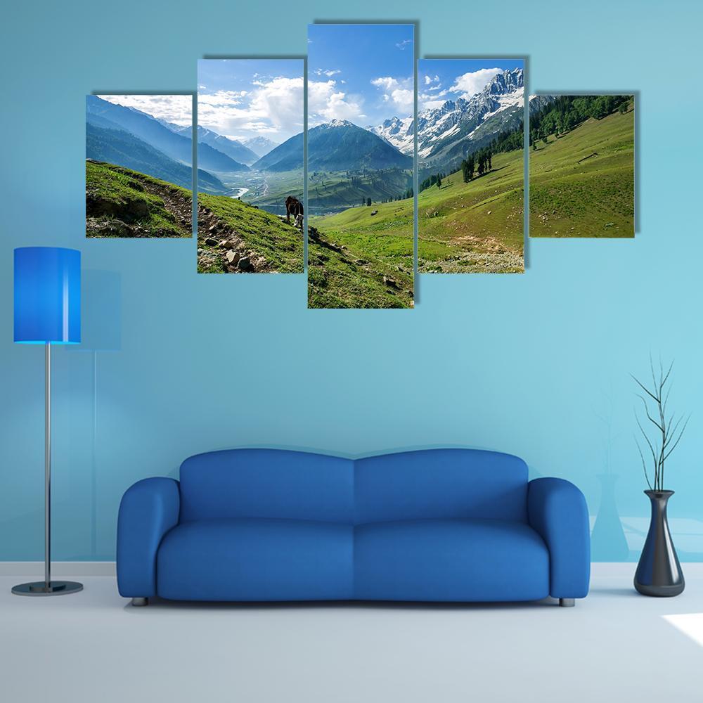 Rocky Mountains And Green Field In Jammu And Kashmir – Nature Canvas Wall Art