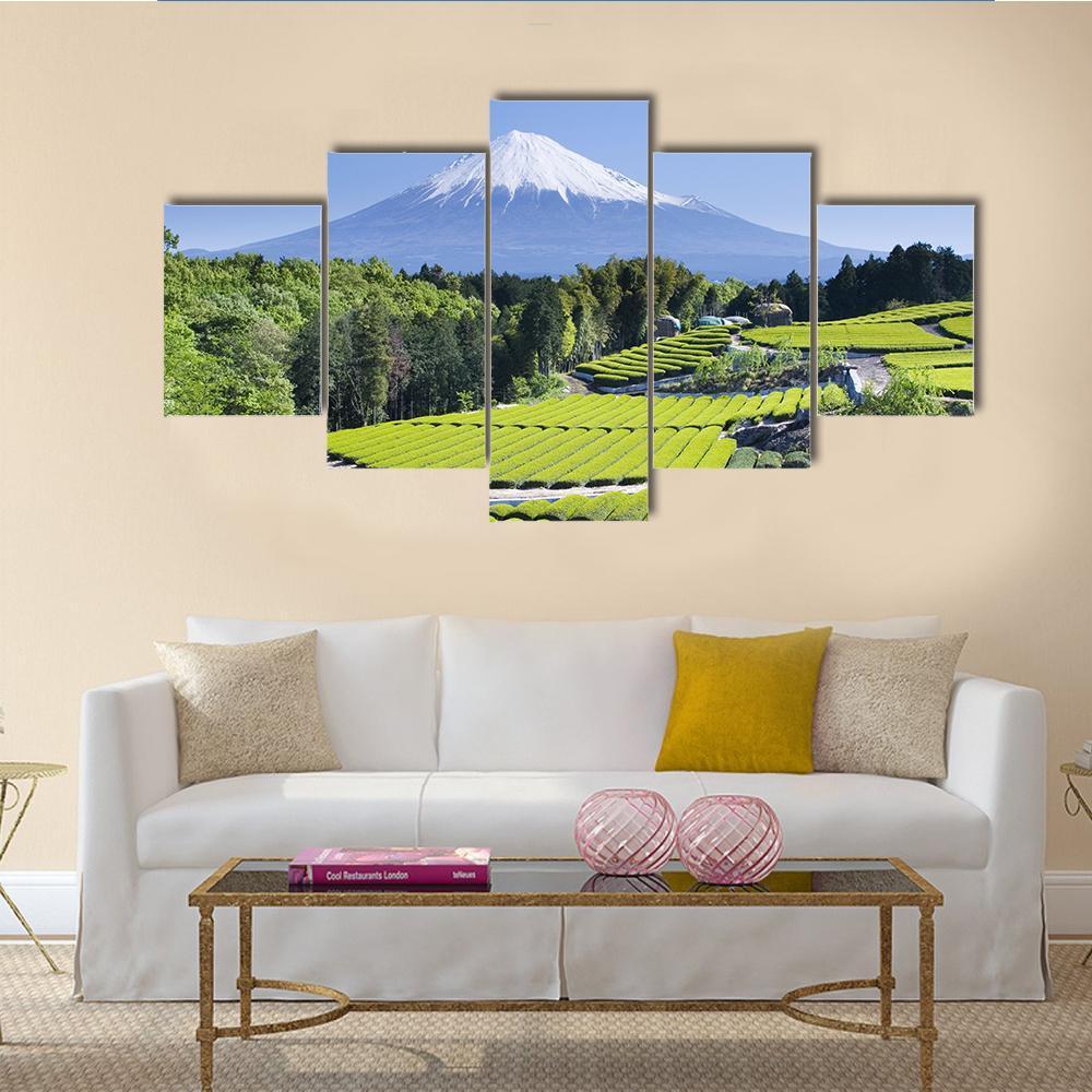 Rows Of Fresh Green Tea With Mount Fuji – Nature Canvas Wall Art