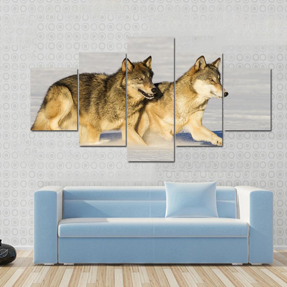 Running In Snow Gray Wolves – Animal Canvas Wall Art