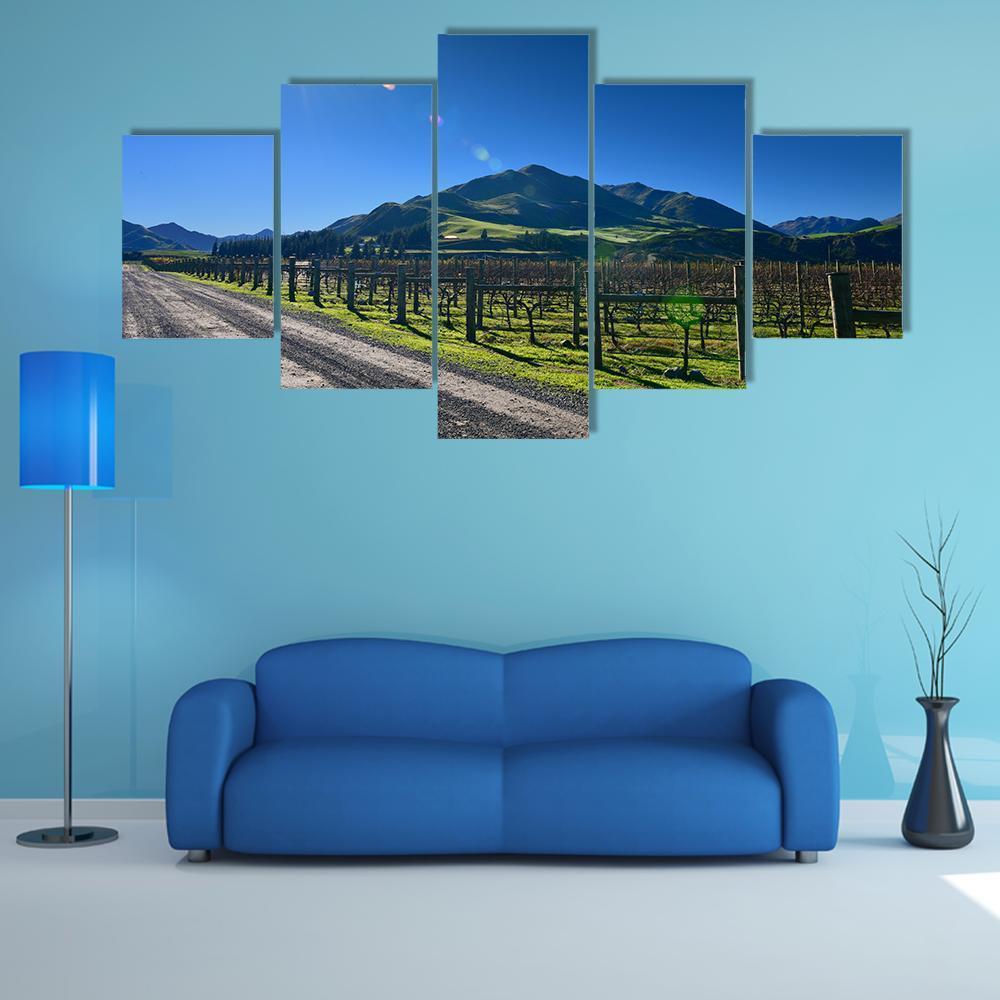 Scenic Vineyard In Canterbury – Nature Canvas Wall Art
