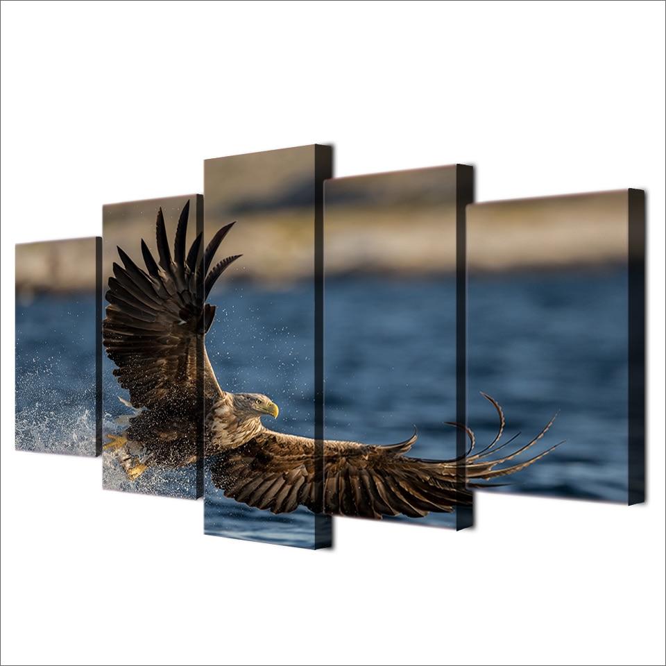 Sea Eagle – Animal Canvas Wall Art