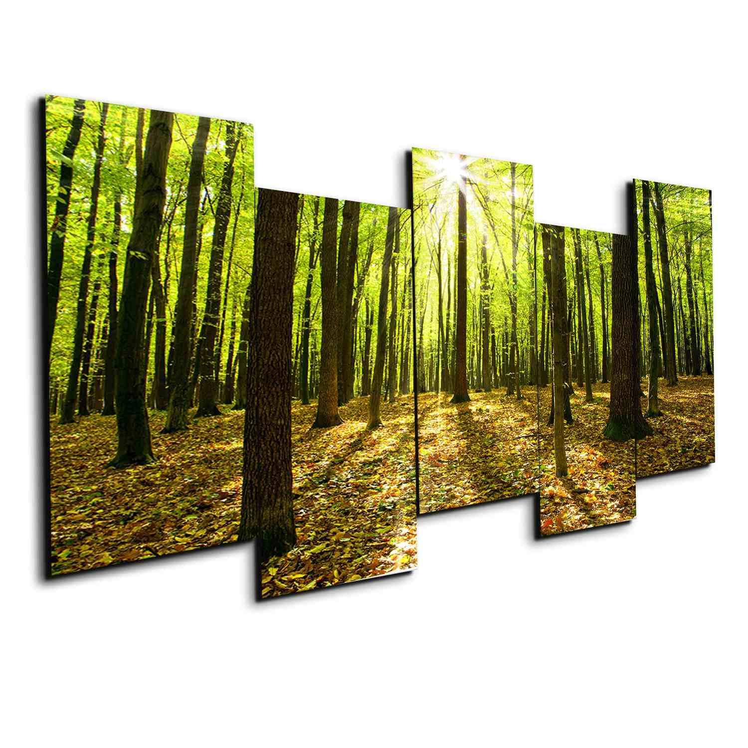 Shine Between The Wood – Nature Canvas Wall Art