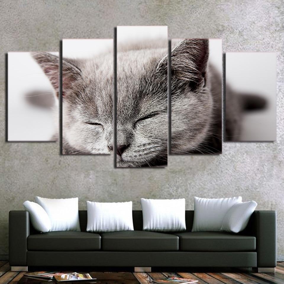 Sleeping Gray Cat – Animal Canvas Wall Art