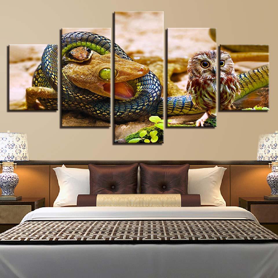 Snakes Lizard And Owls – Animal Canvas Wall Art