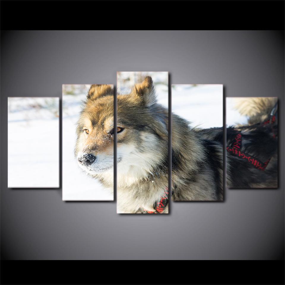 Snowfield Animal Wolf Dog Or Bedroom – Animal Canvas Wall Art