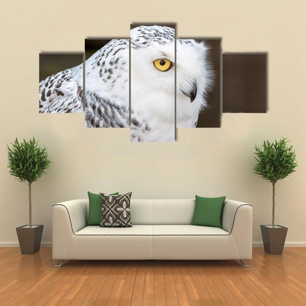 Snowy Owl – Animal Canvas Wall Art