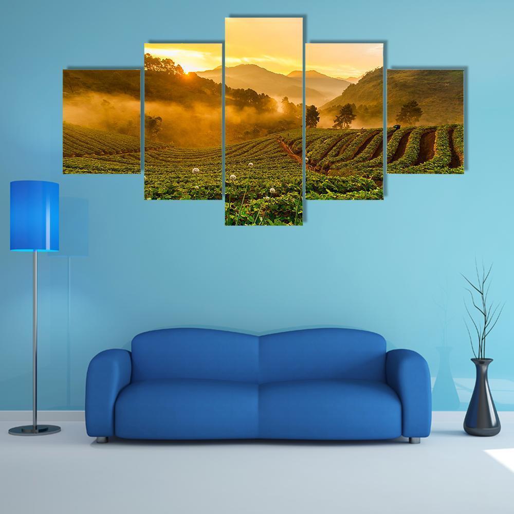 Strawberry Garden At Doi Ang Khang – Nature Canvas Wall Art