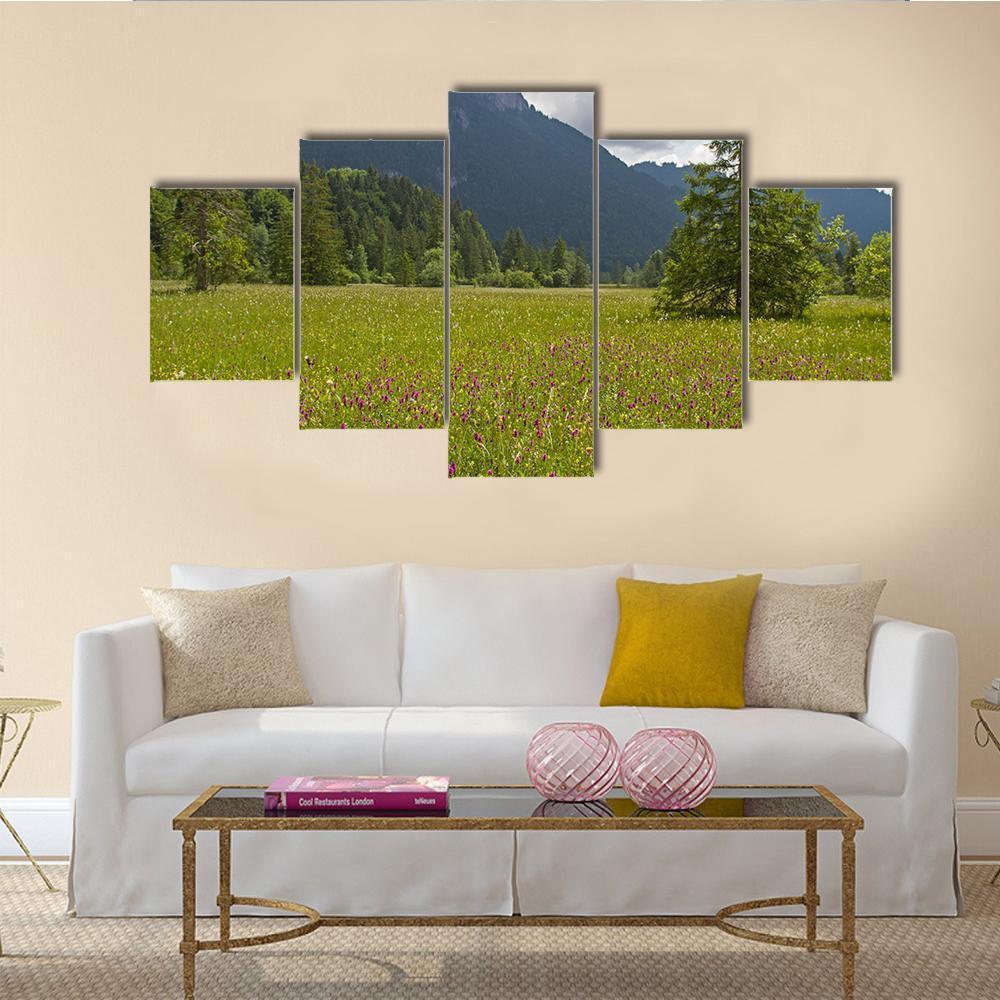 Summer Meadow With Mountain – Nature Canvas Wall Art