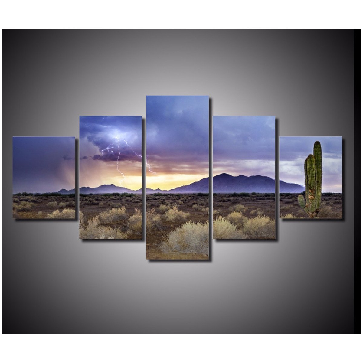Summer Storm In Desert – Nature Canvas Wall Art