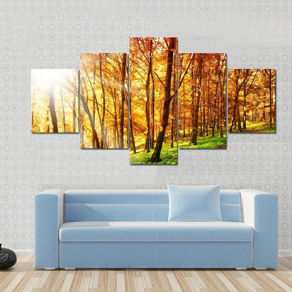 Sun In The Autumn Forest – Nature Canvas Wall Art