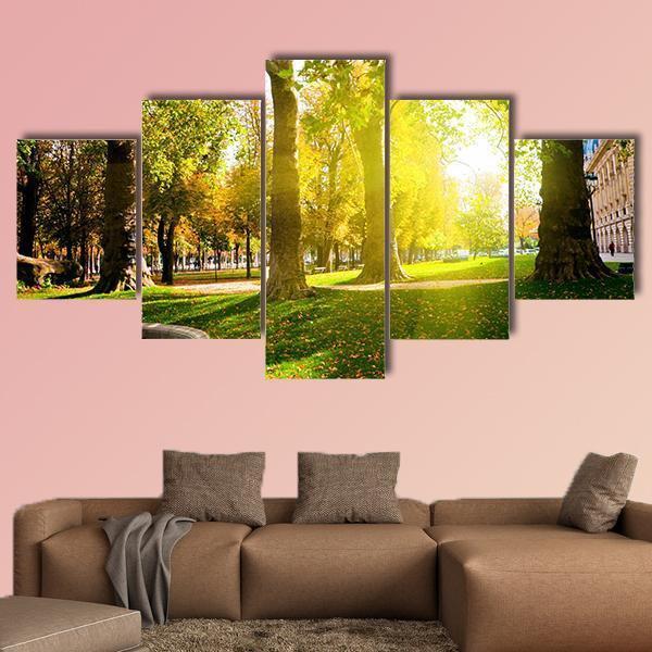 Sun Rays In Green Park – Nature Canvas Wall Art