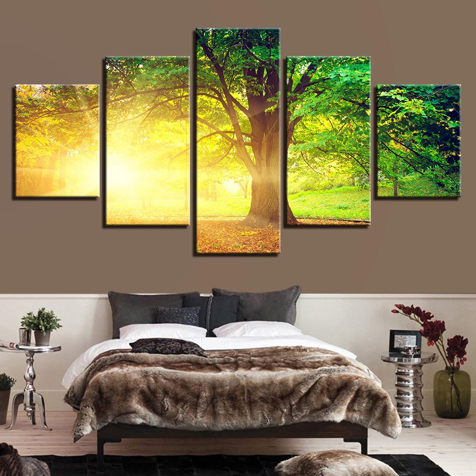 Sunlight Trees – Nature Canvas Wall Art