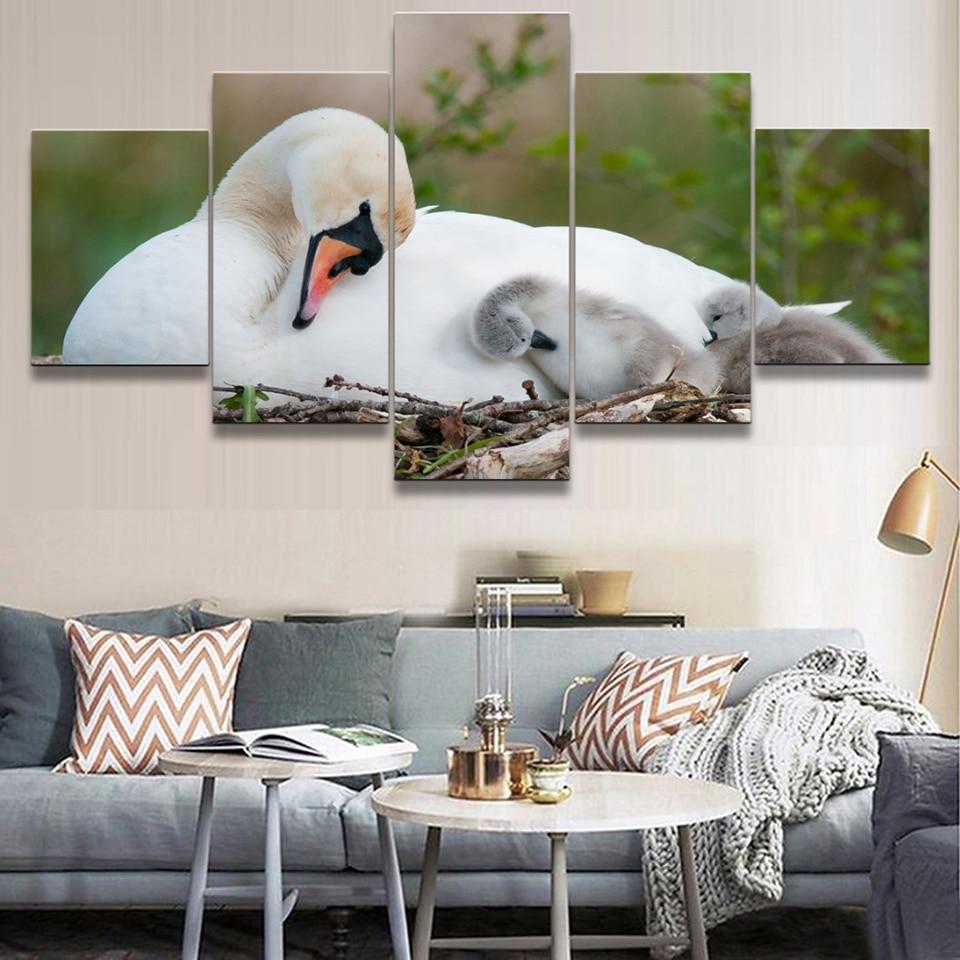 Swan 9 – Animal Canvas Wall Art