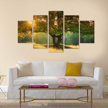 Sweet Trees – Nature Canvas Wall Art