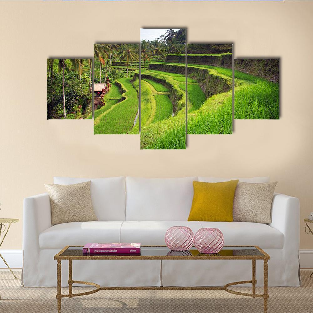 Terrace Rice Fields In Indonesia – Nature Canvas Wall Art