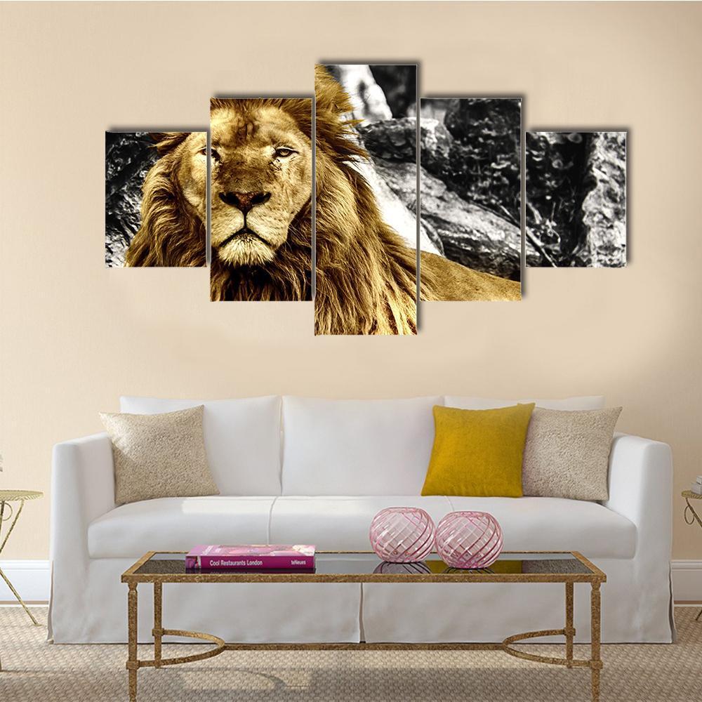 The King Of Lions – Animal Canvas Wall Art