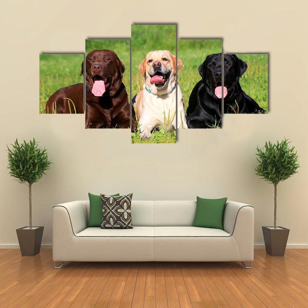 Three Labrador Retriever Dogs On The Grass – Animal Canvas Wall Art