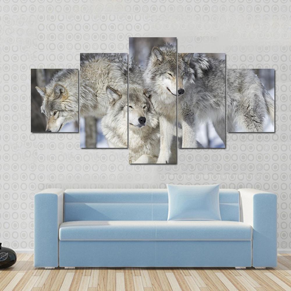 Three Lazy Wolves Pack – Animal Canvas Wall Art