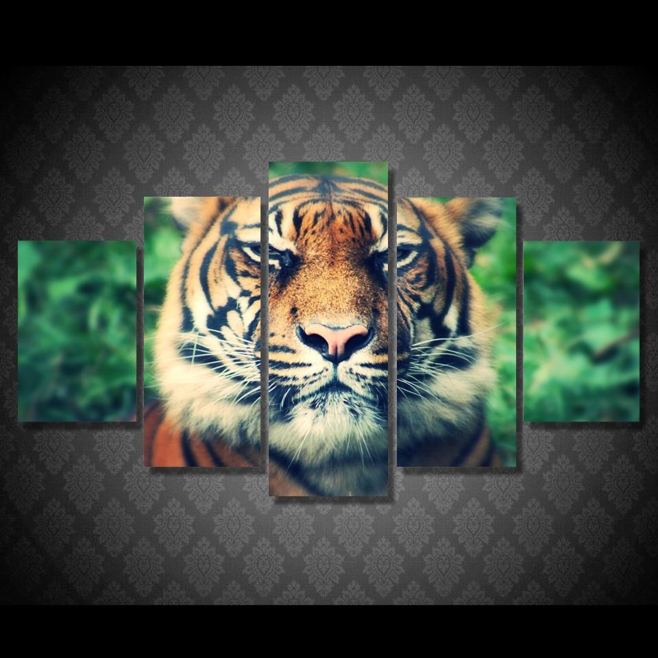 Tiger Predator Muzzle Eyes Squint – Animal Canvas Wall Art