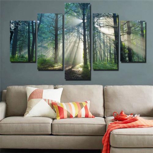 Trees Forest Sunshine – Nature Canvas Wall Art