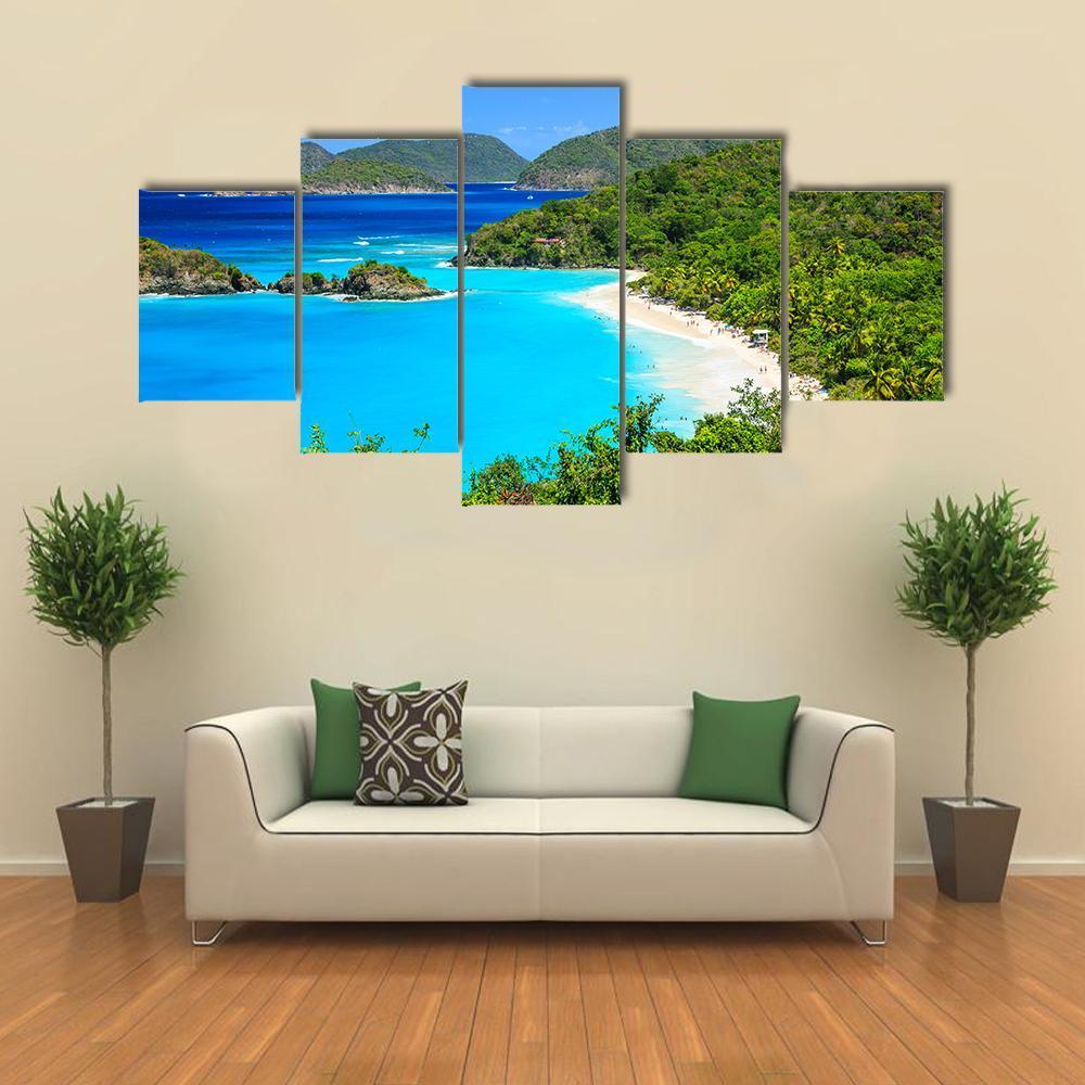 Trunk Bay On St John Island Nature Canvas Wall Art