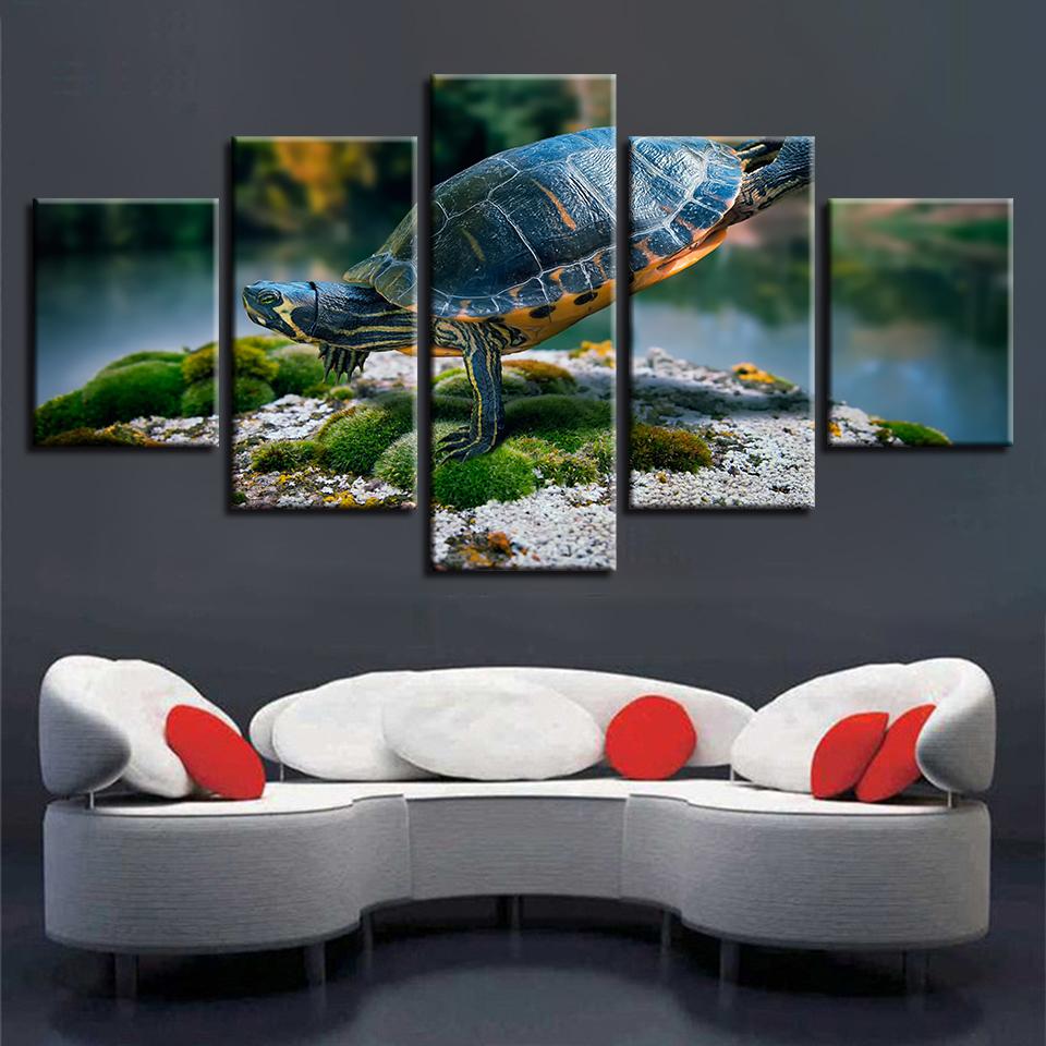 Turtle 04 – Animal Canvas Wall Art