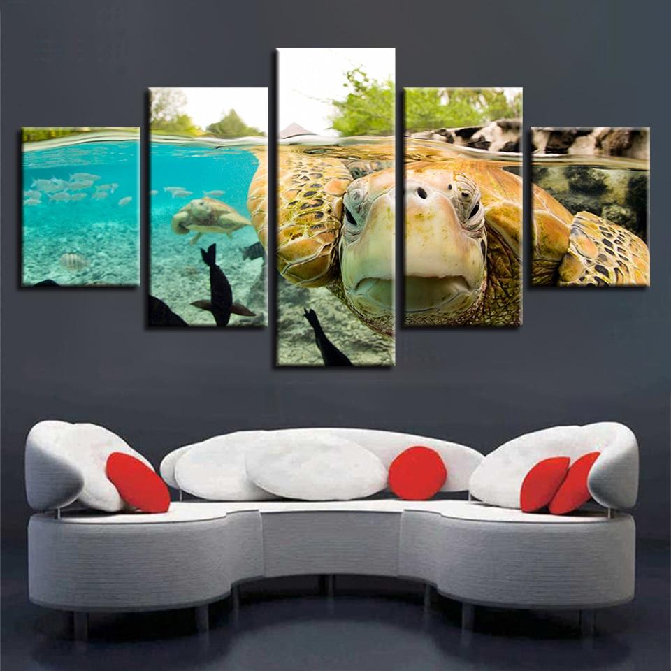 Turtle 05 – Animal Canvas Wall Art