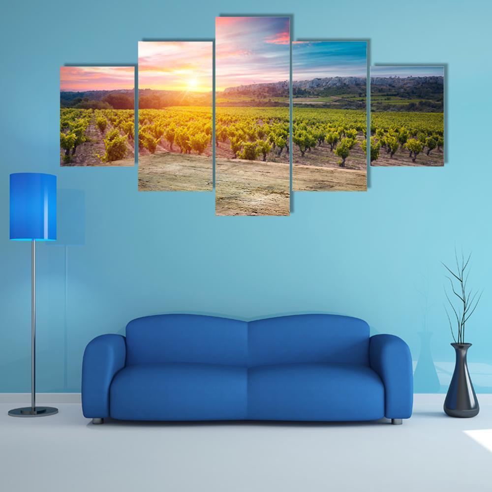Vineyard At Sunset In The Chianti Region – Nature Canvas Wall Art