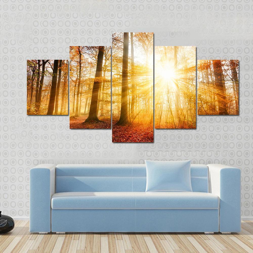 Warm Autumn Scenery In A Forest, With The Sun Rays – Nature Canvas Wall Art