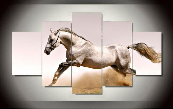 White Arabian Horse – Animal Canvas Wall Art
