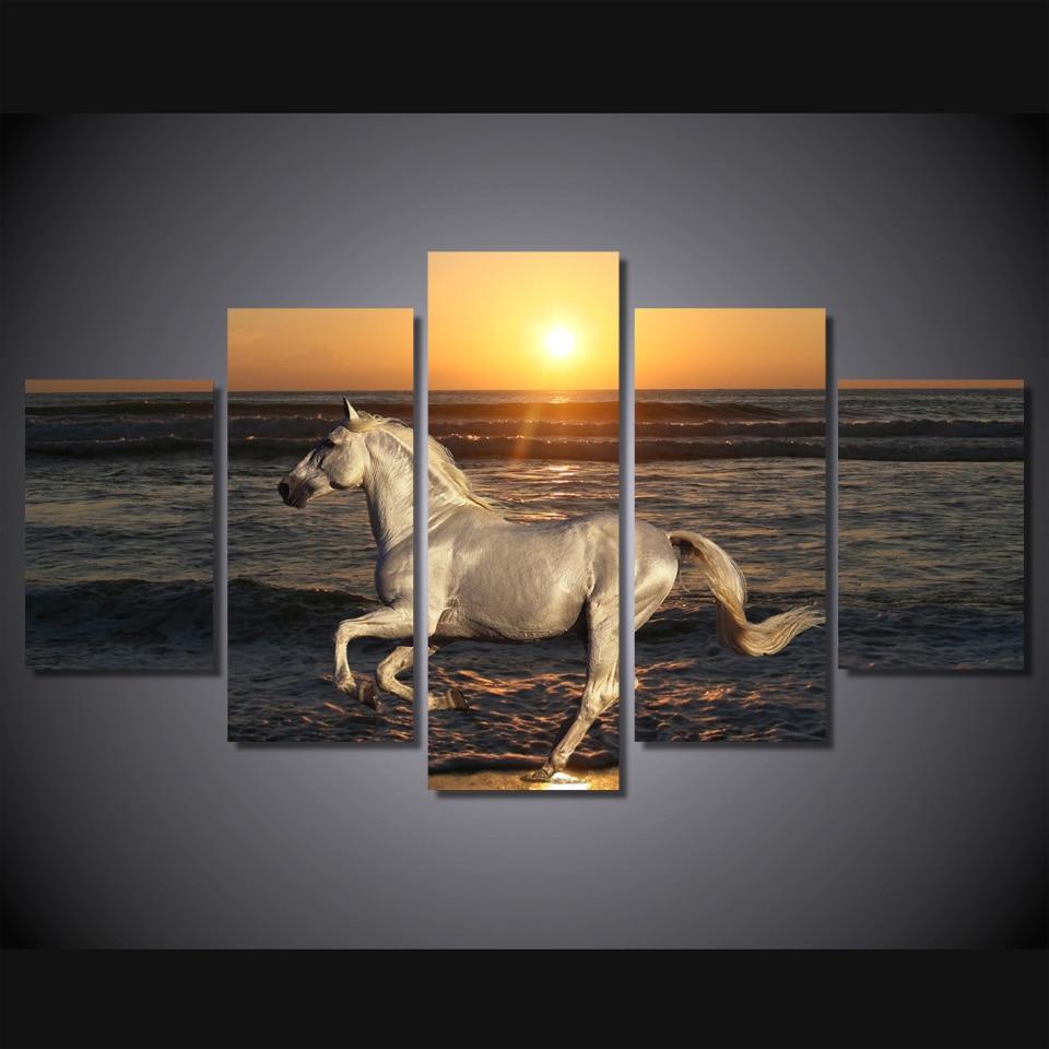 White Horse At The Beach – Animal Canvas Wall Art