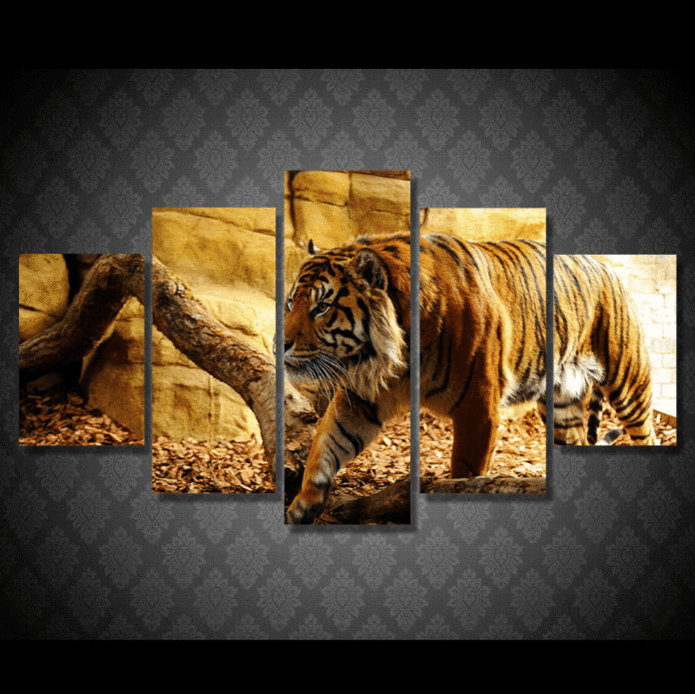 Wild Tiger – Ani Canvas Wall Art