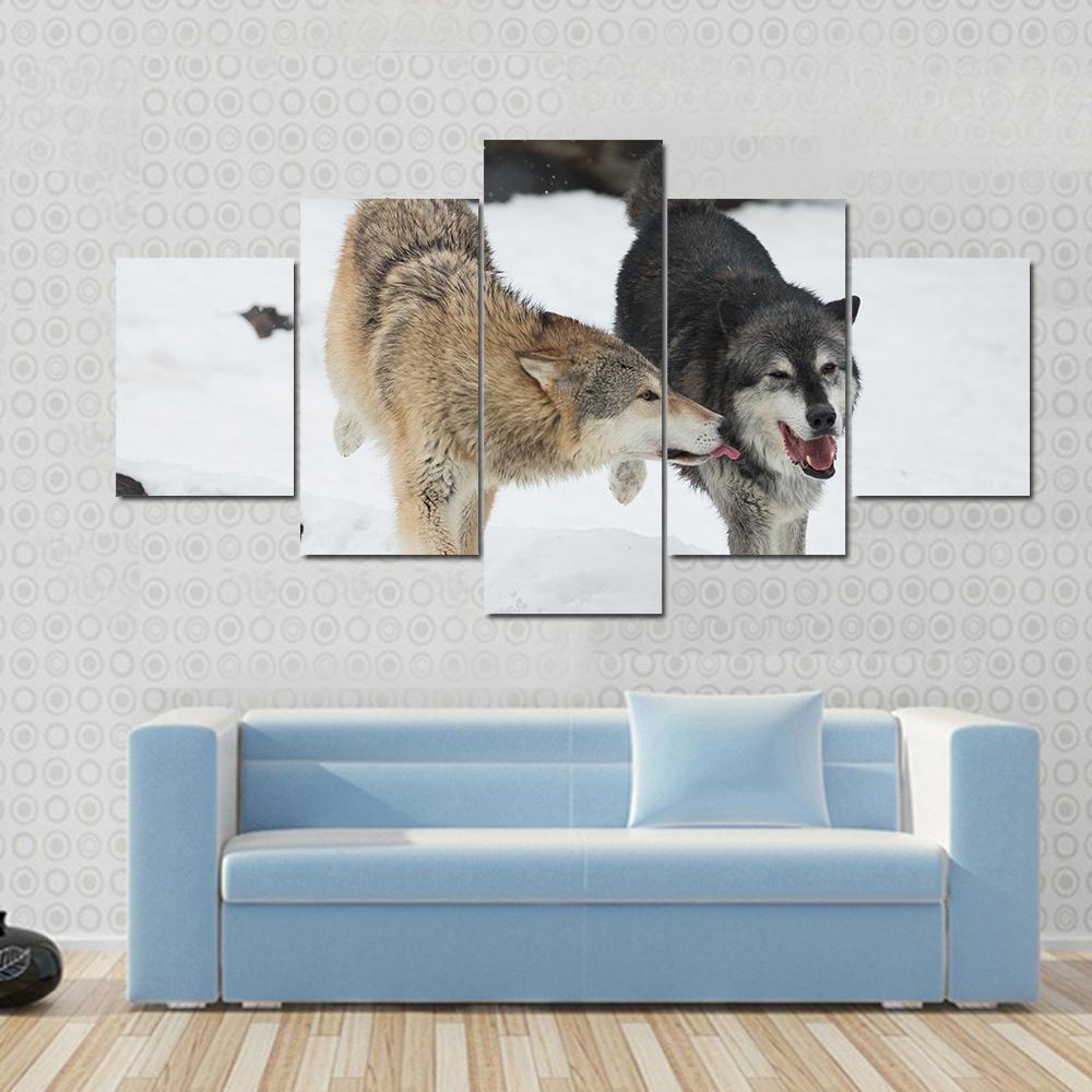 Wolves Couple Making Love In Snow – Animal Canvas Wall Art