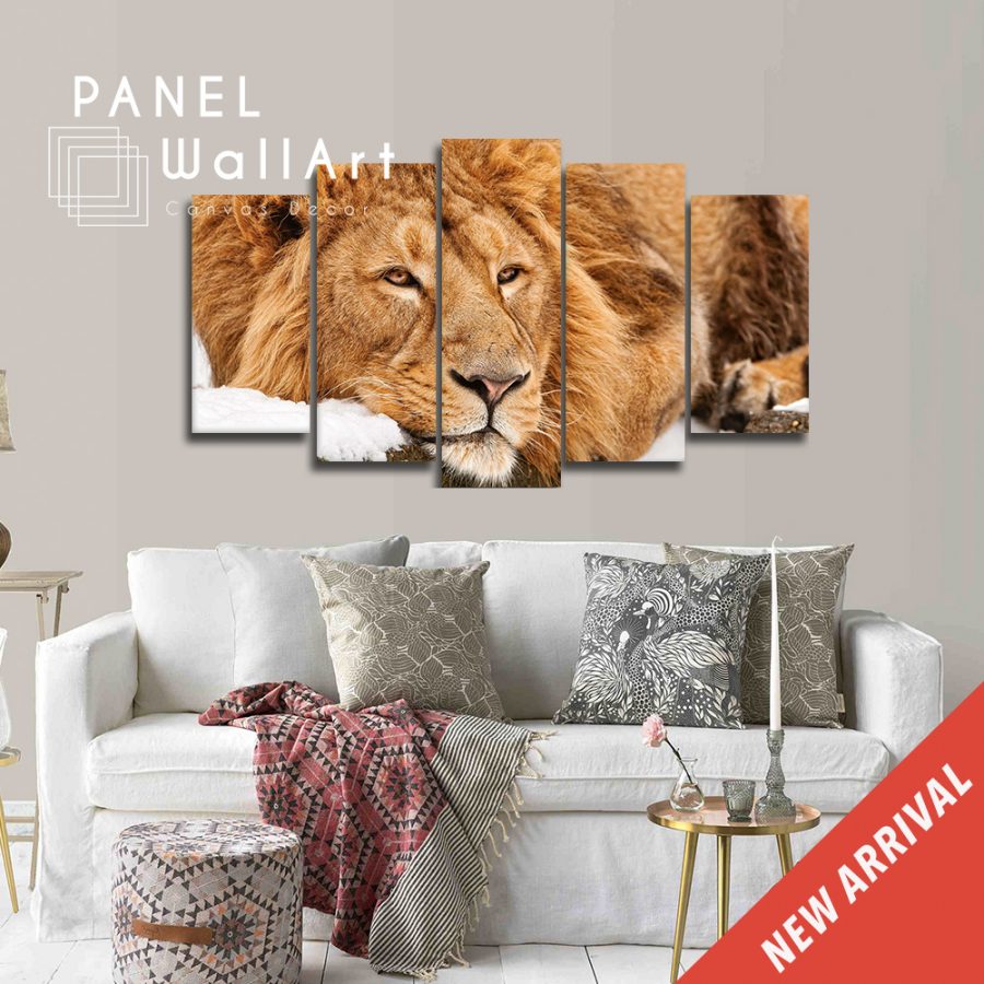 Calmness Of A Lion Canvas Wall Art