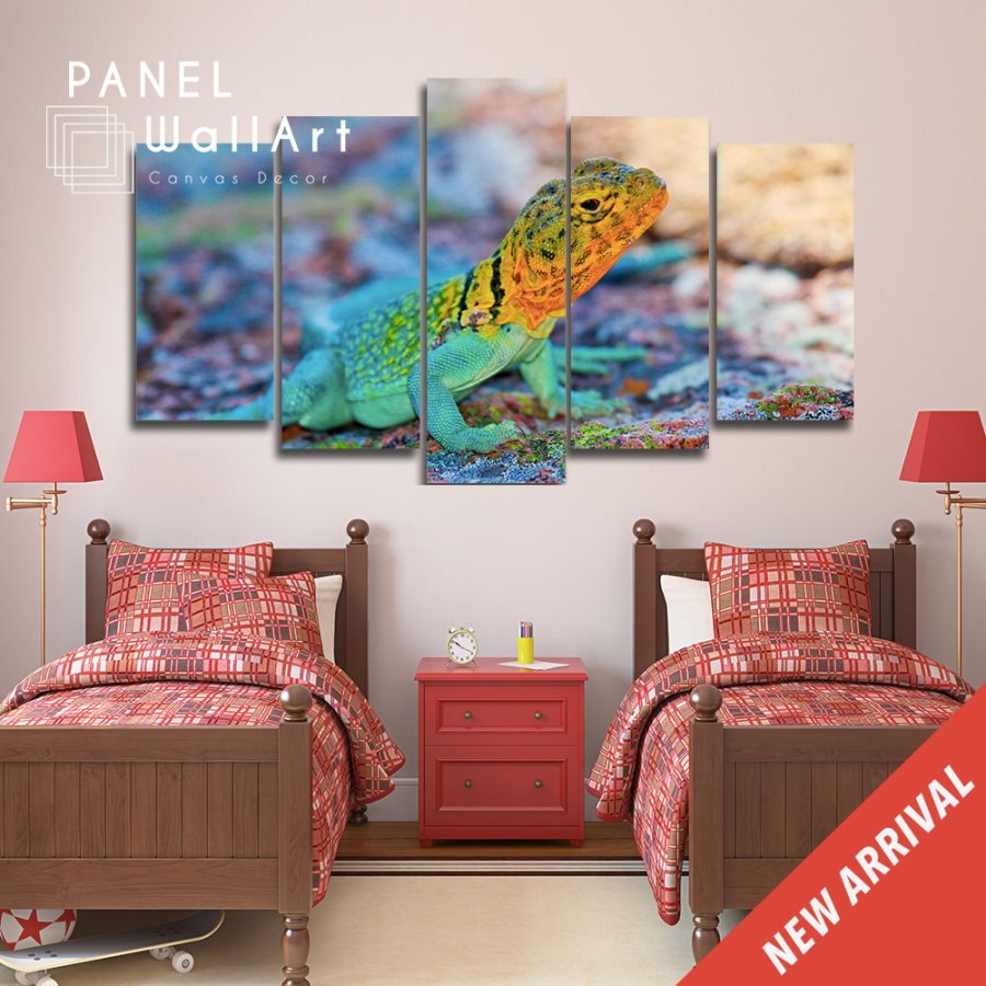 Colorful Crotaphytus Reptiles Canvas Wall Art