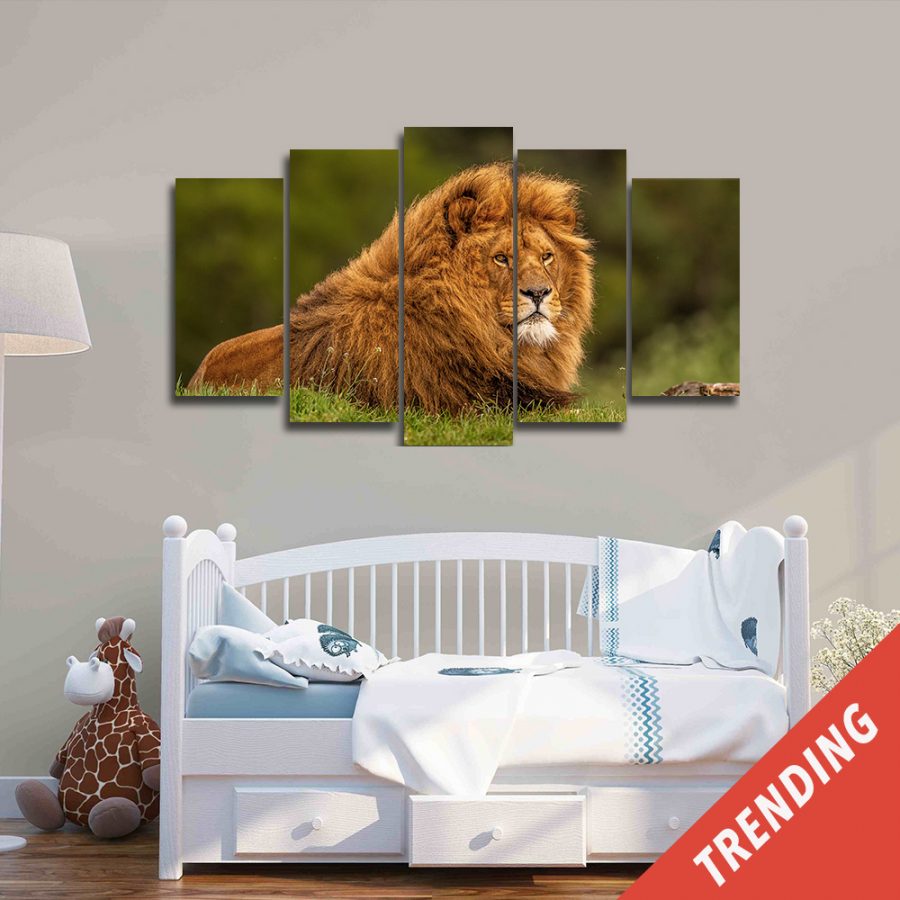 Lion In A Field Canvas Wall Art