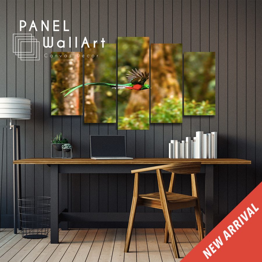 Resplendent Quetzal Canvas Wall Art